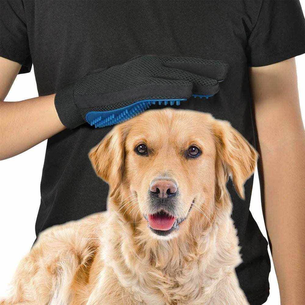 Black and blue pet grooming glove brushing golden retriever dog for fur removal and massage