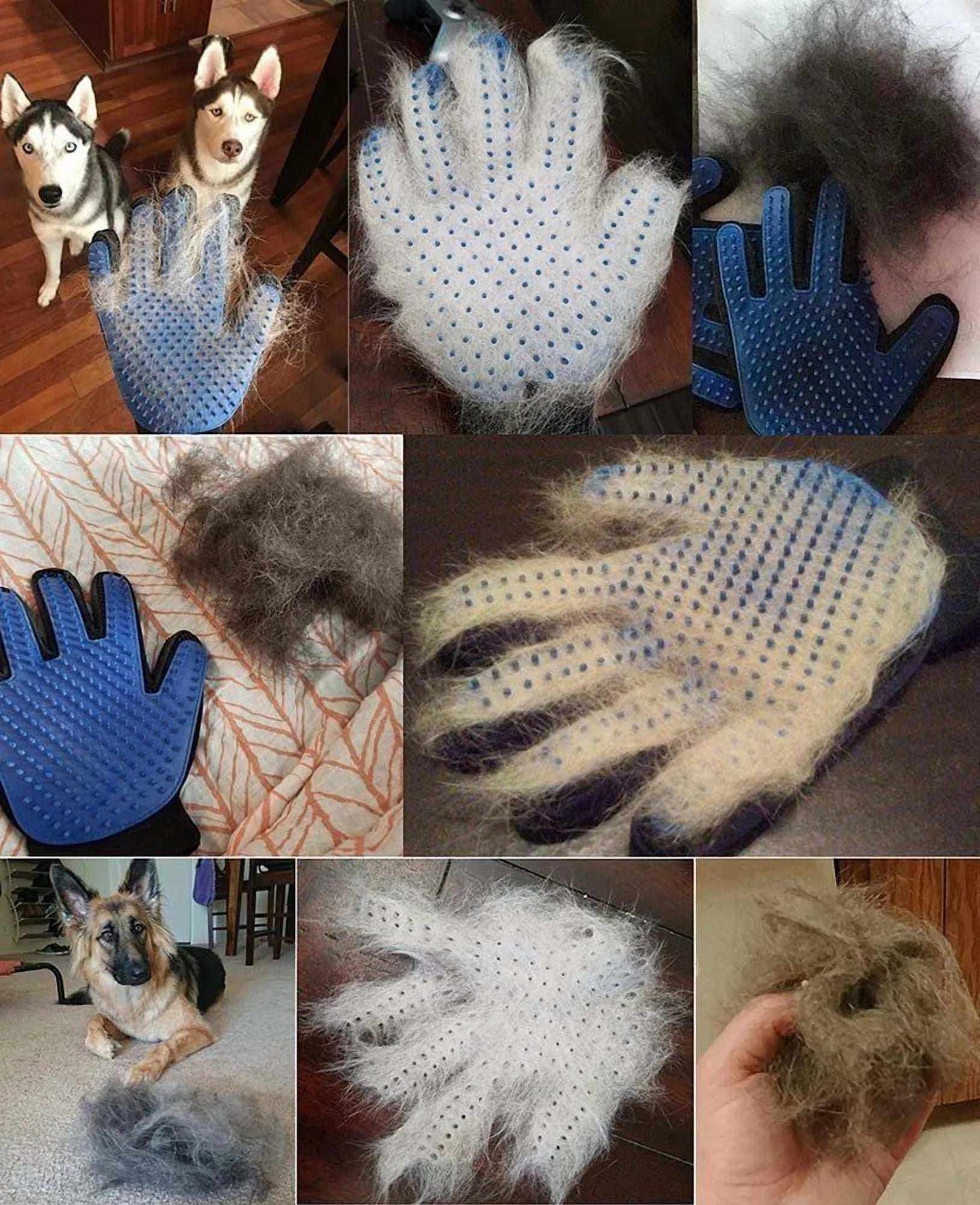 Blue pet grooming gloves with silicone tips covered in removed pet fur, shown with dogs and large clumps of fur collected.
