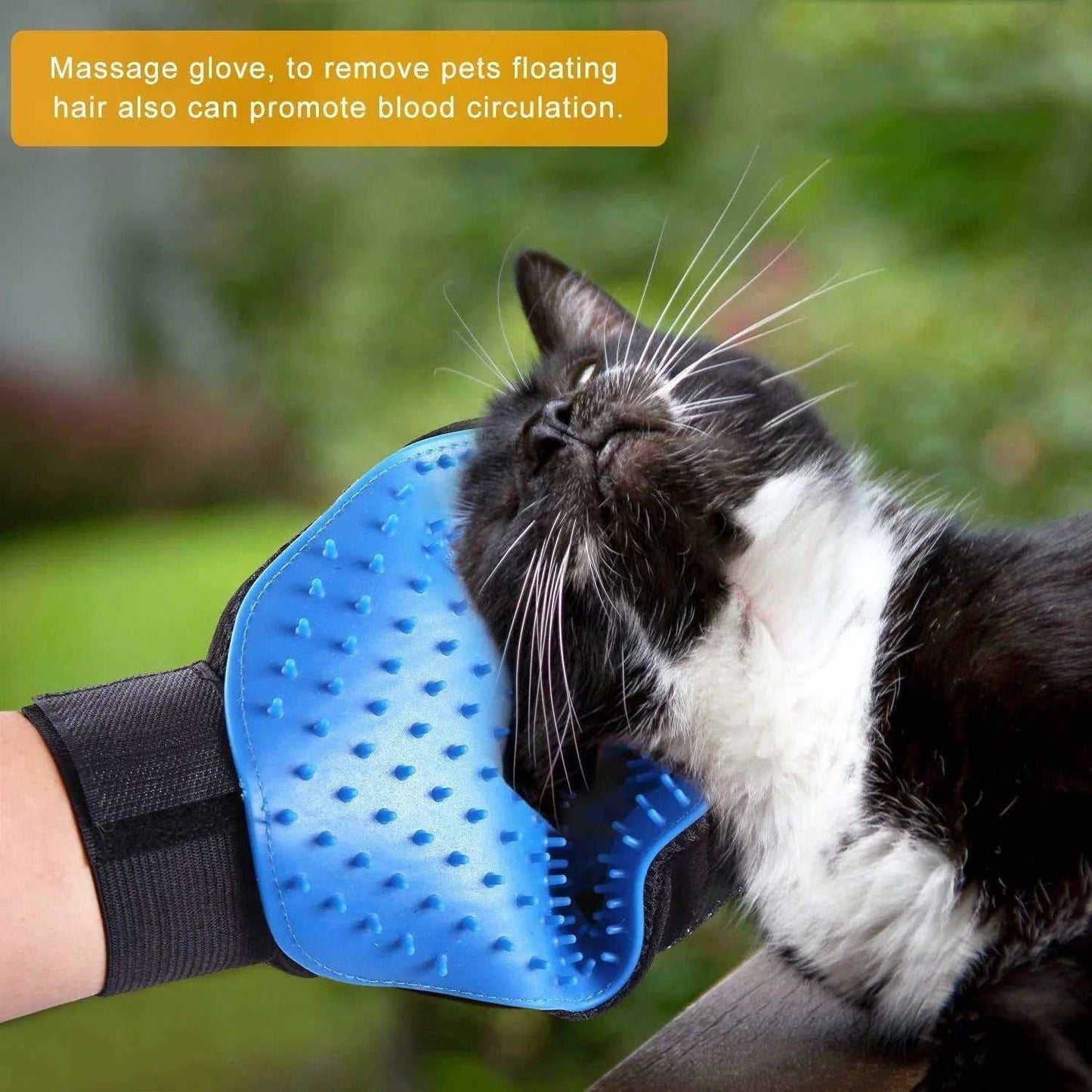 Blue pet grooming glove with silicone tips gently massaging and removing loose hair from a black and white cat outdoors